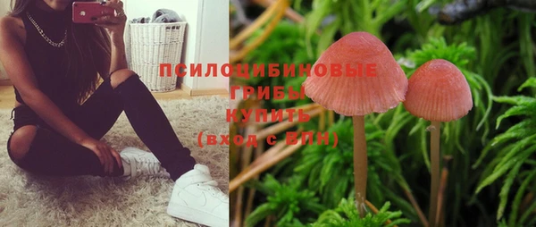 дурь Протвино