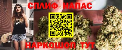 прущие крисы Тара