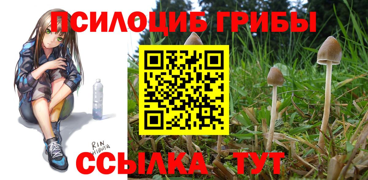 Мефедрон  Марихуана  ГАШ  АМФЕТАМИН   МЕТАМФЕТАМИН  Вход с VPN  Россошь  МАРИХУАНА  Мефедрон   Вейп ТГК 
