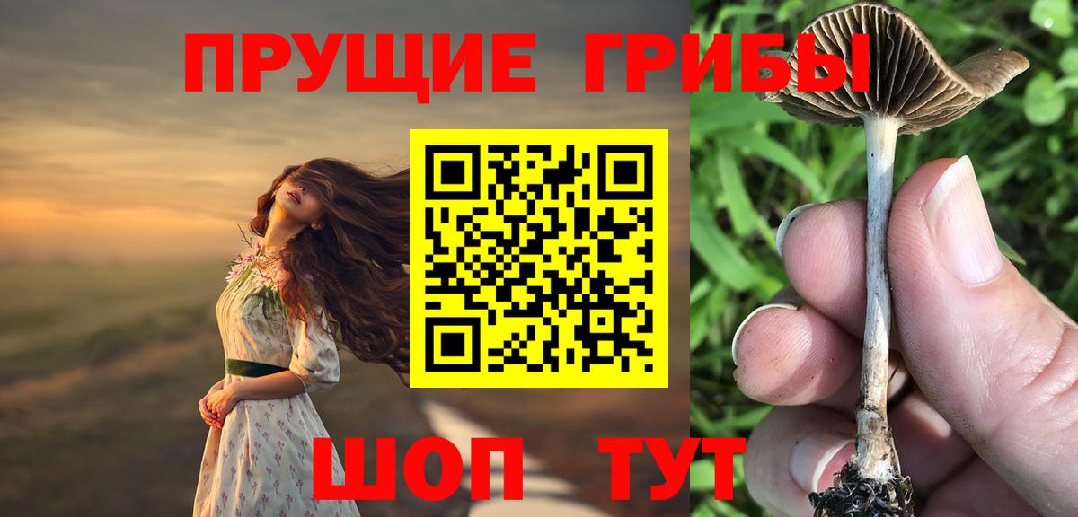 A PVP Россошь